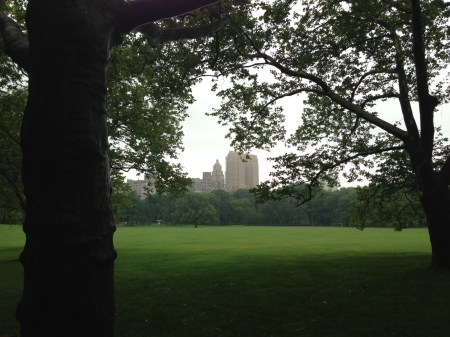 Central Park 3
